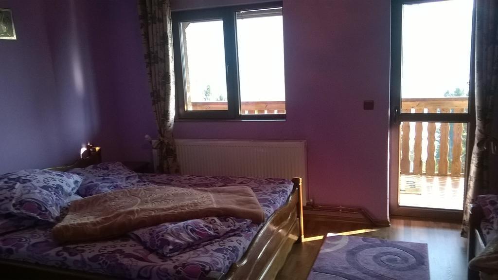 Casa Edy Hotel Colibiţa Buitenkant foto