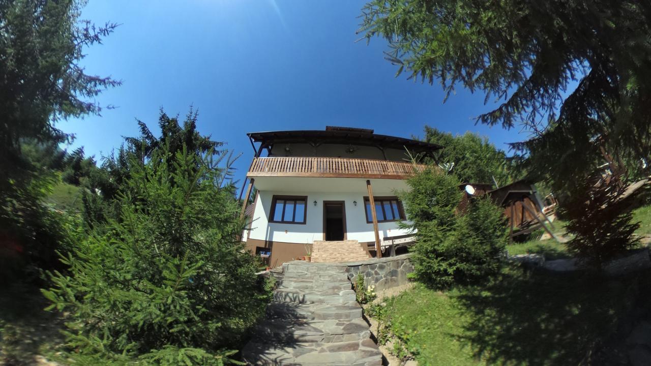 Casa Edy Hotel Colibiţa Buitenkant foto