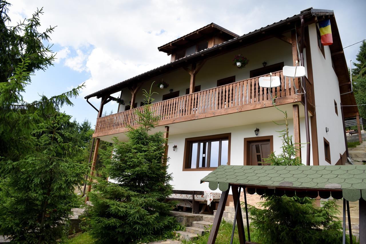 Casa Edy Hotel Colibiţa Buitenkant foto