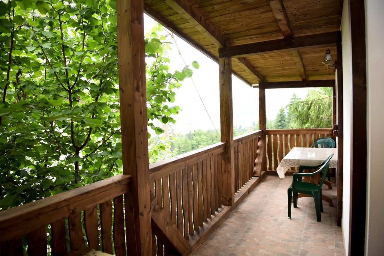 Casa Edy Hotel Colibiţa Buitenkant foto