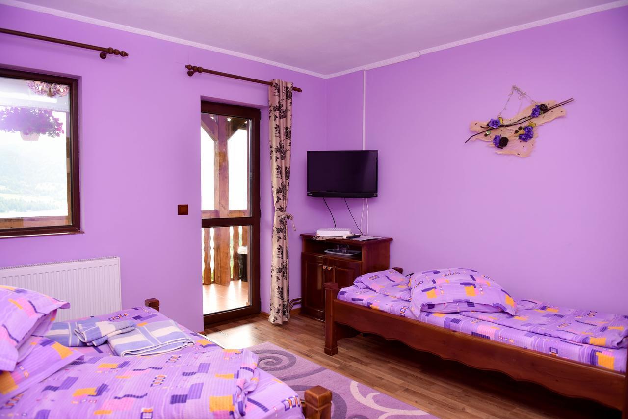 Casa Edy Hotel Colibiţa Buitenkant foto
